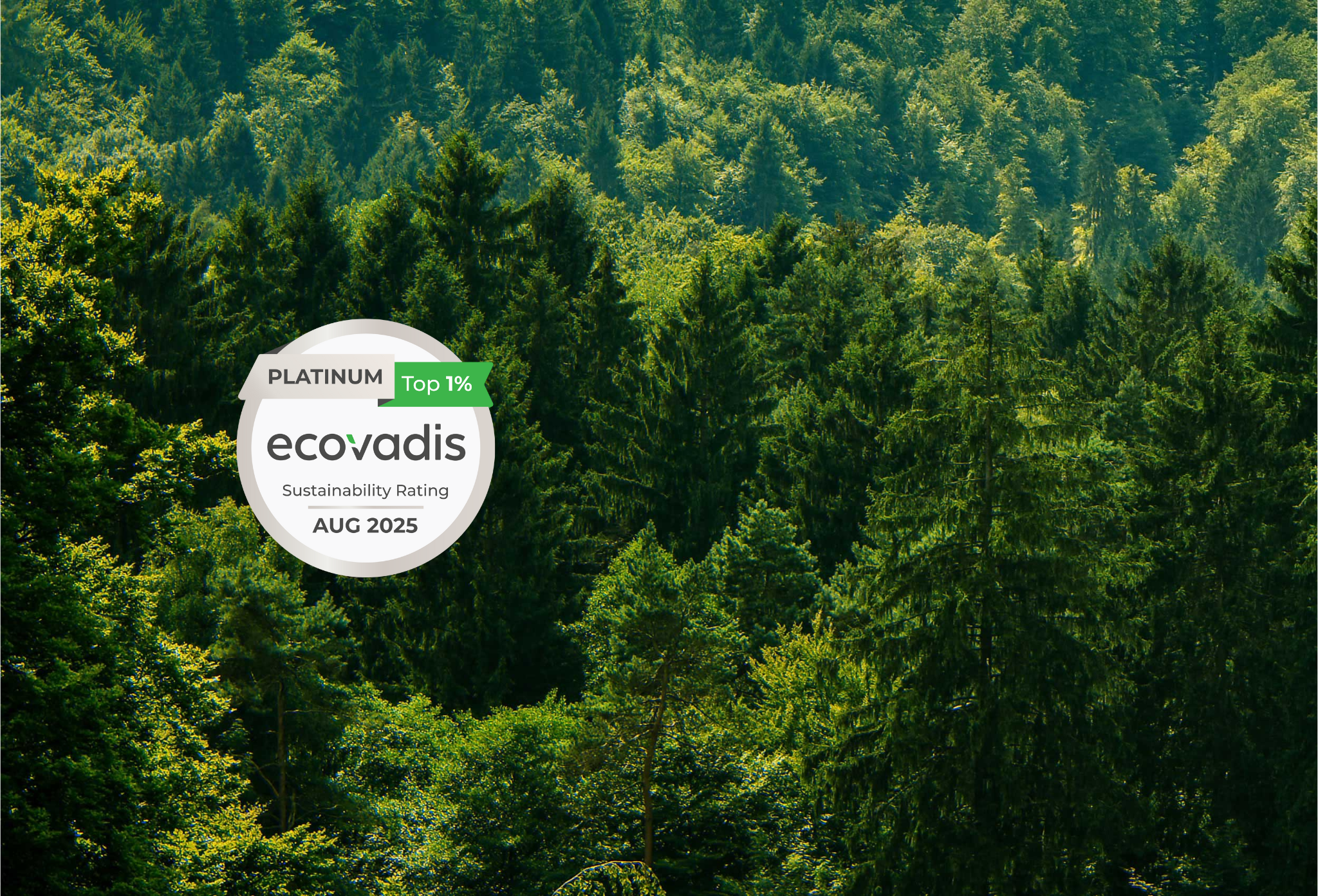 médaille Ecovadis Platinum Maillaj 2025 Forêt et médaille Ecovadis Platinum Maillaj 2025